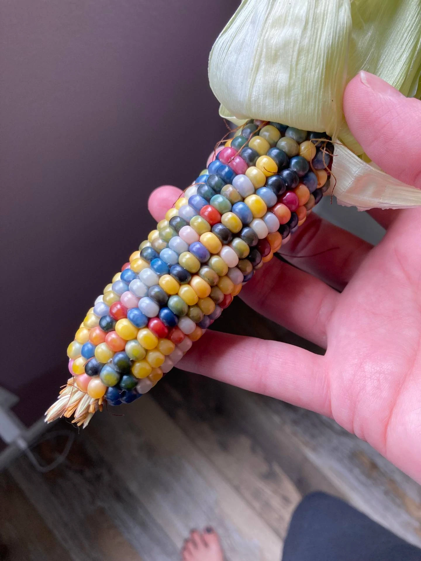 Terraria gem corn фото 51